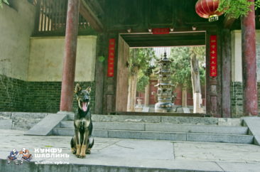 Китай, лето 2014 года, фото Александр Голубков | ROSO Shaolin Kung-Fu (Saint-Petersburg, Russia) www.shaolin.spb.ru